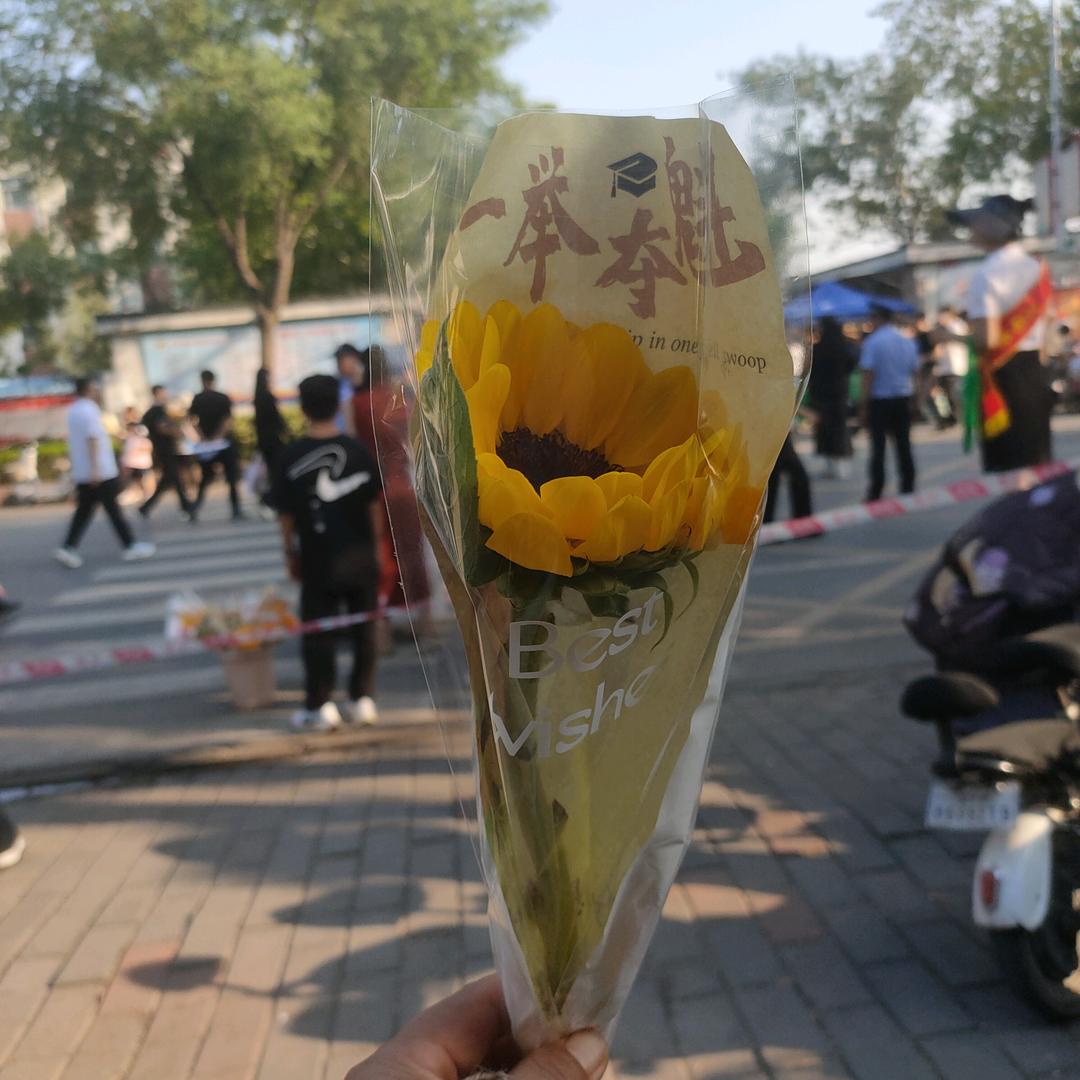 金榜题名时，锦鲤跃龙门