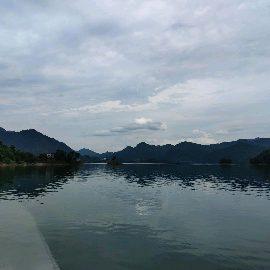 自律委员会负会长