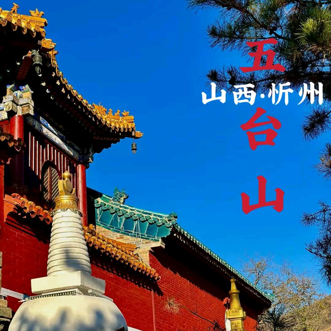 五台山预约车辆