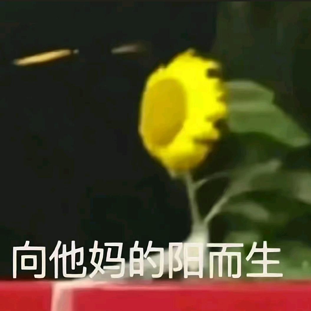 ♠♠小志