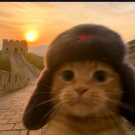 十六.