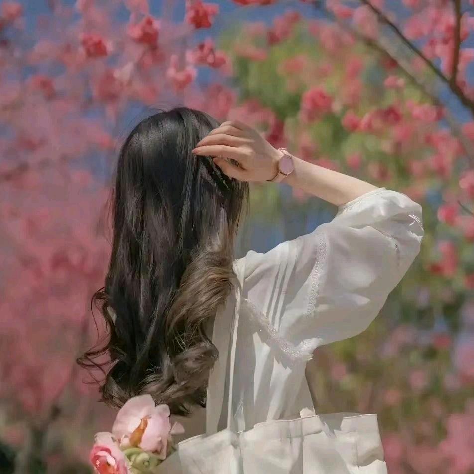 丽苑园艺