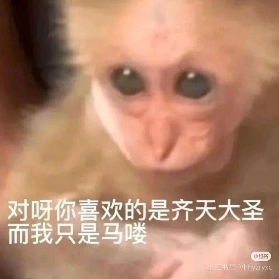 峨眉山的吗喽我最颠