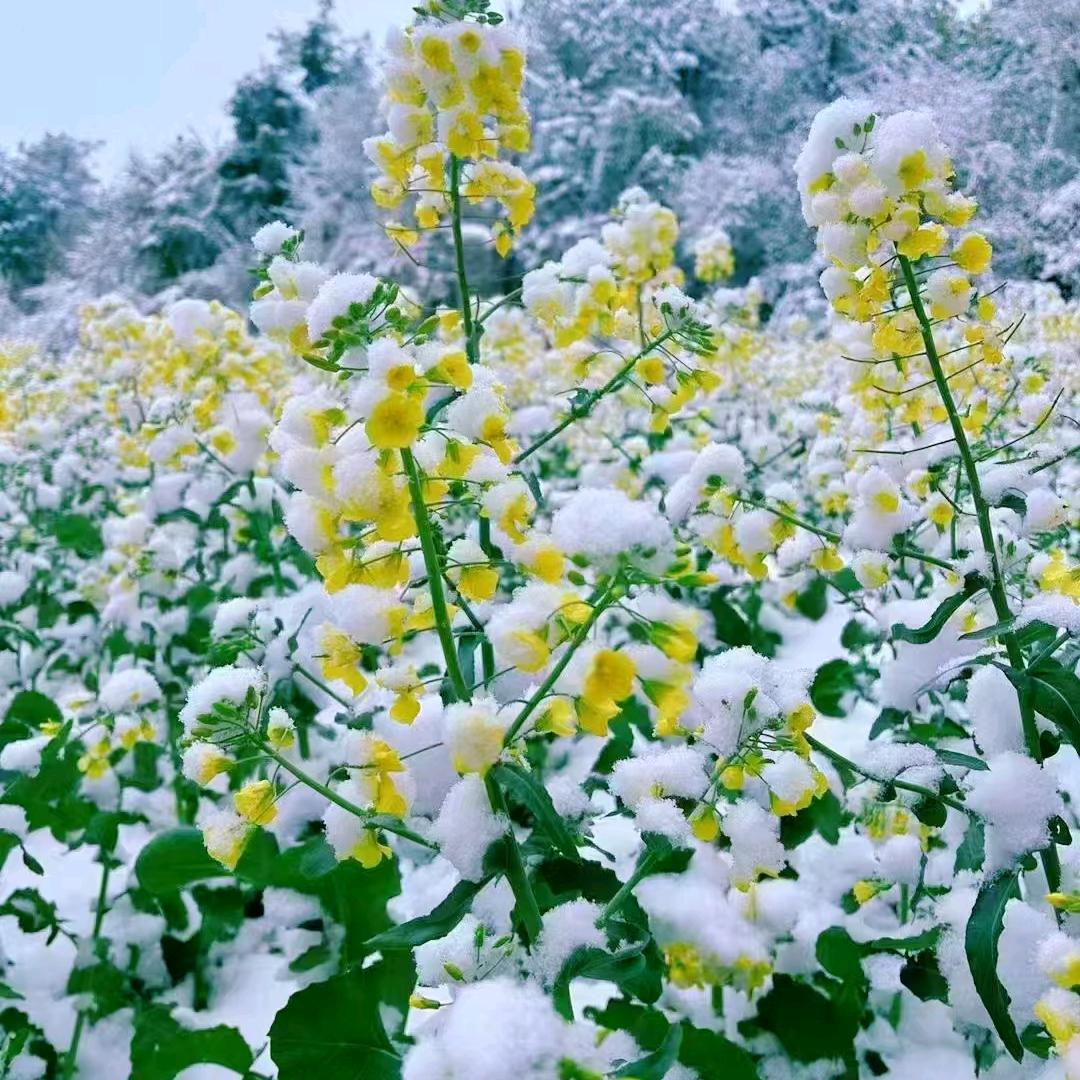 ❛˓◞˂̵✧清醒无言
