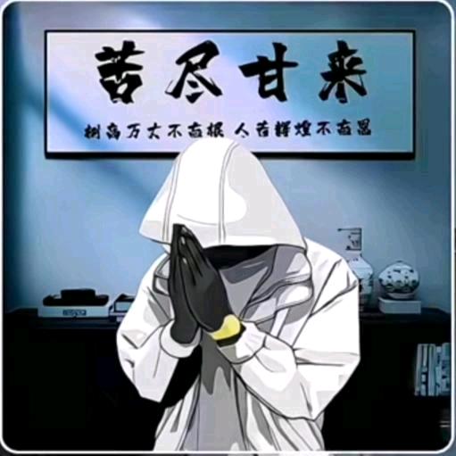 随风去流浪