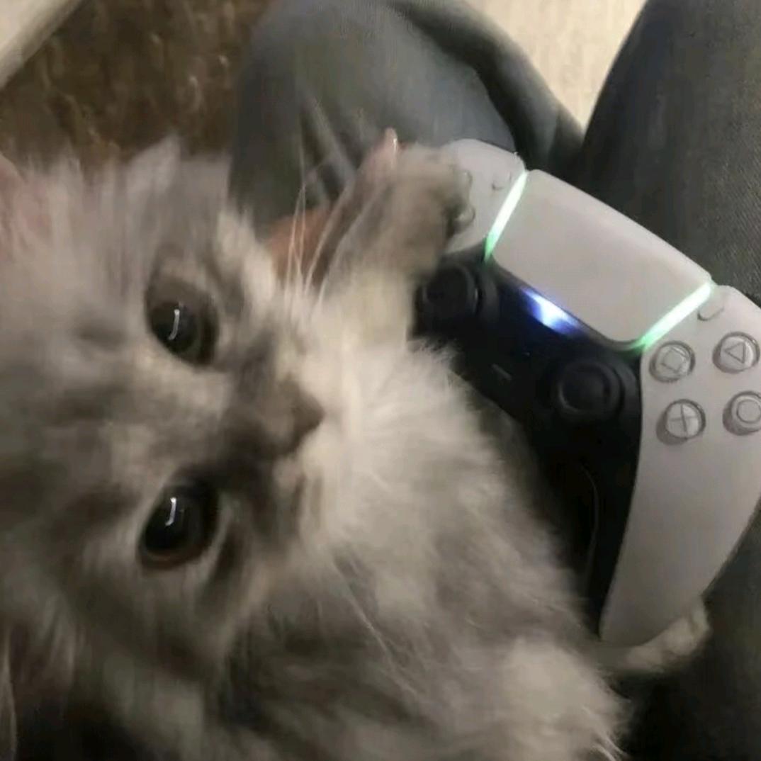 ozo
