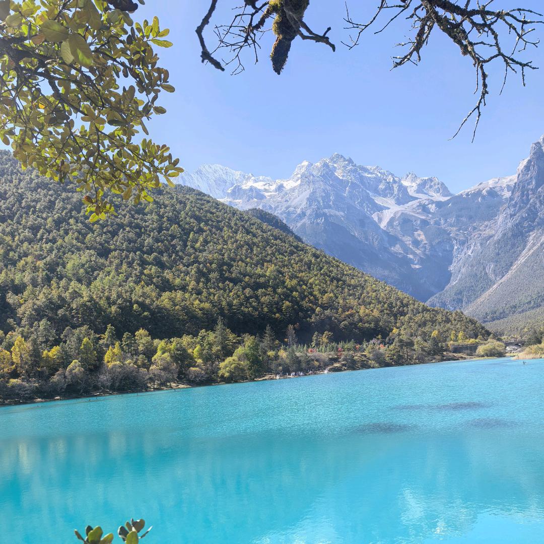 苏打世界-蜡笔大新