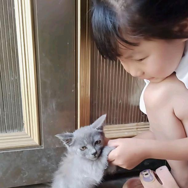陈梦妍
