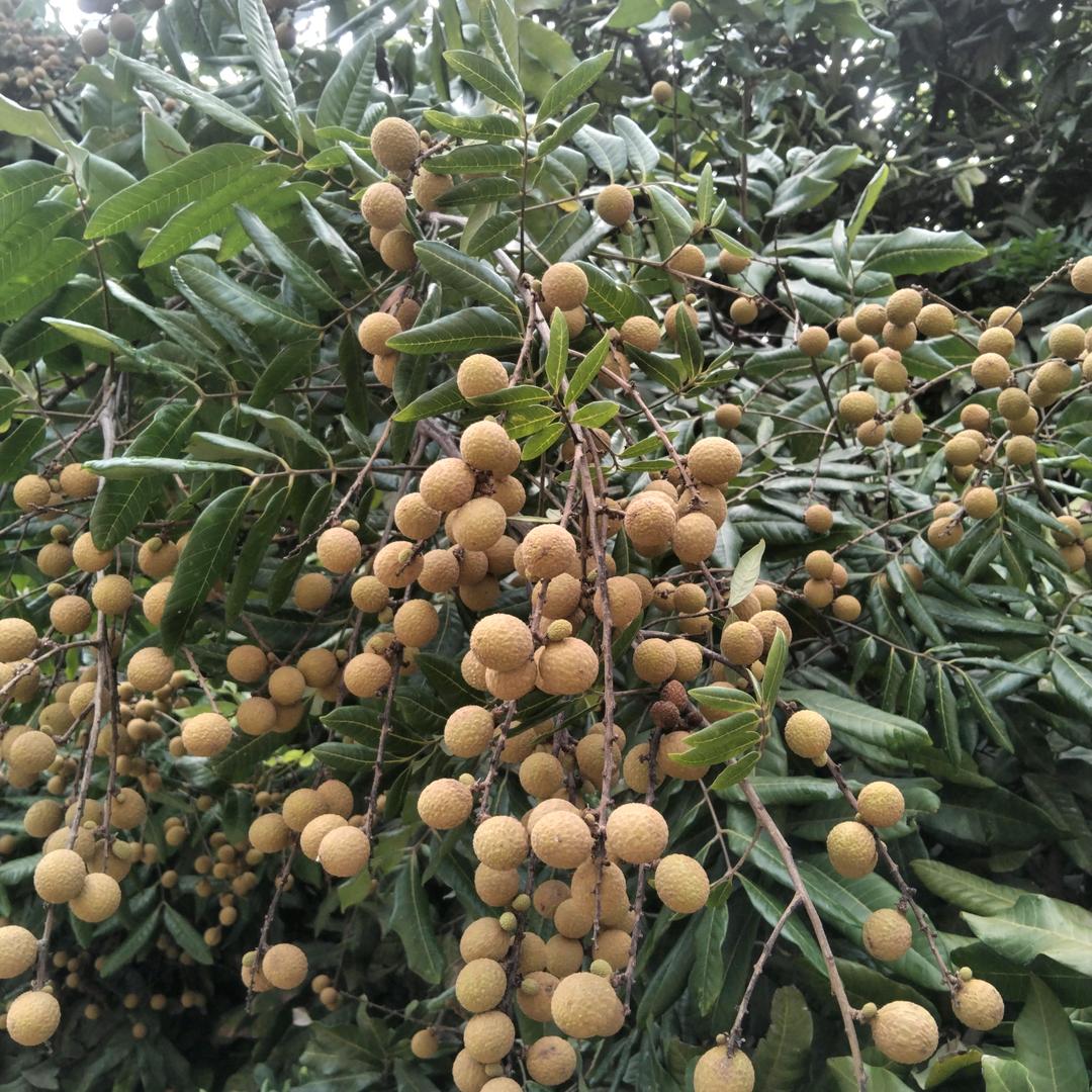 永远忘不掉