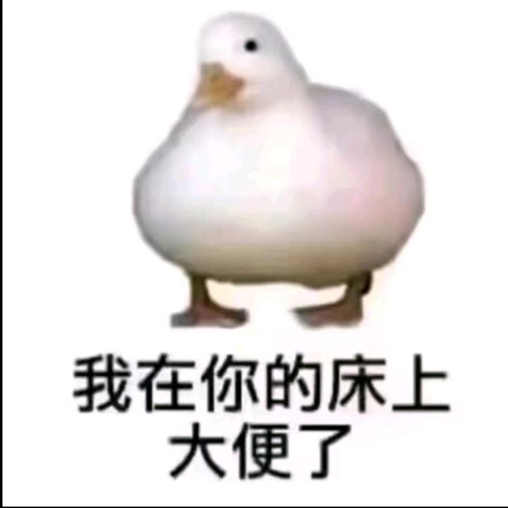 👻