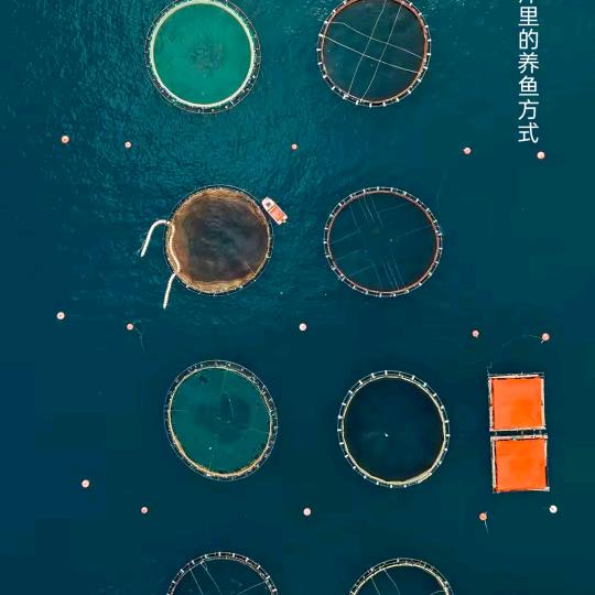 路鑫