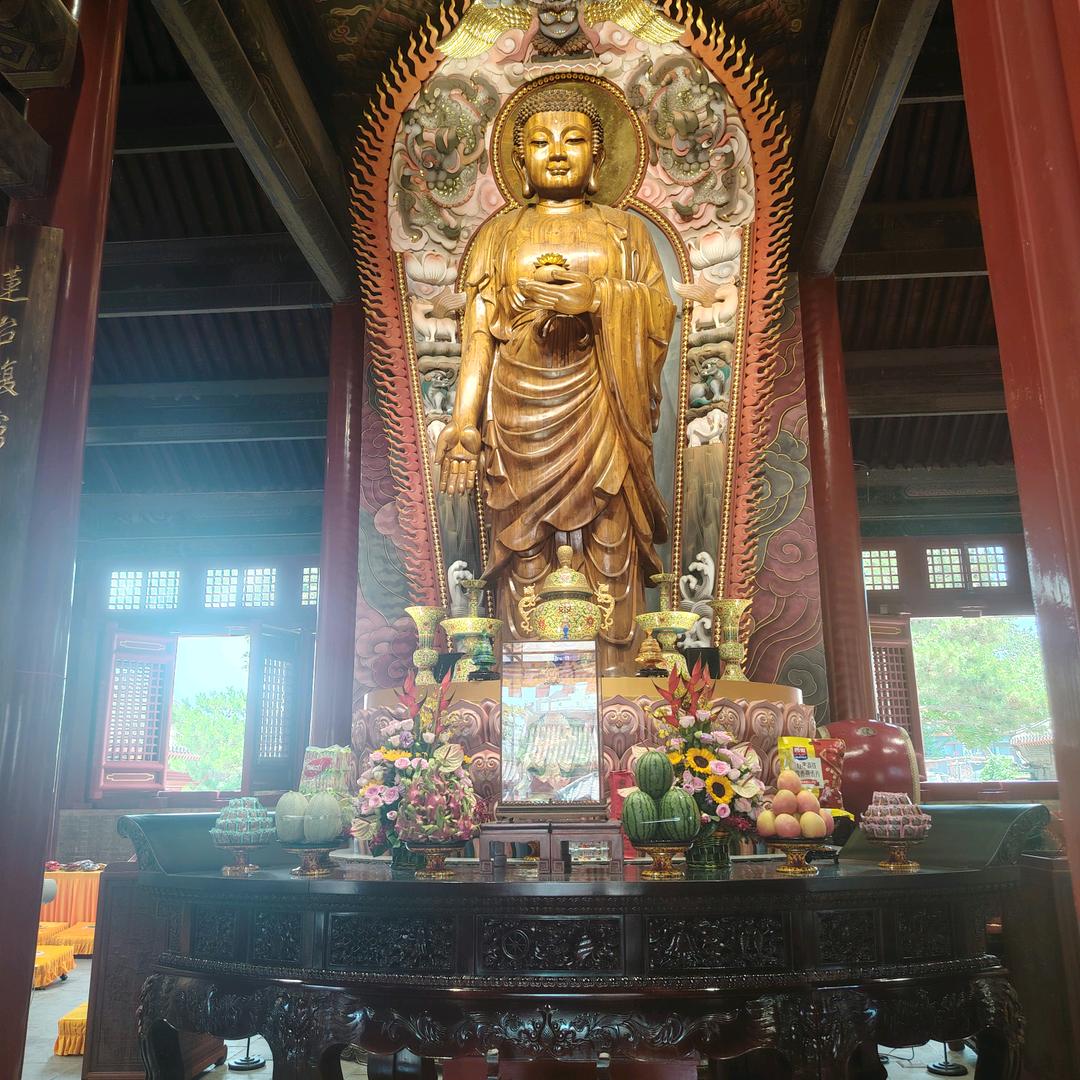 阔步钱行