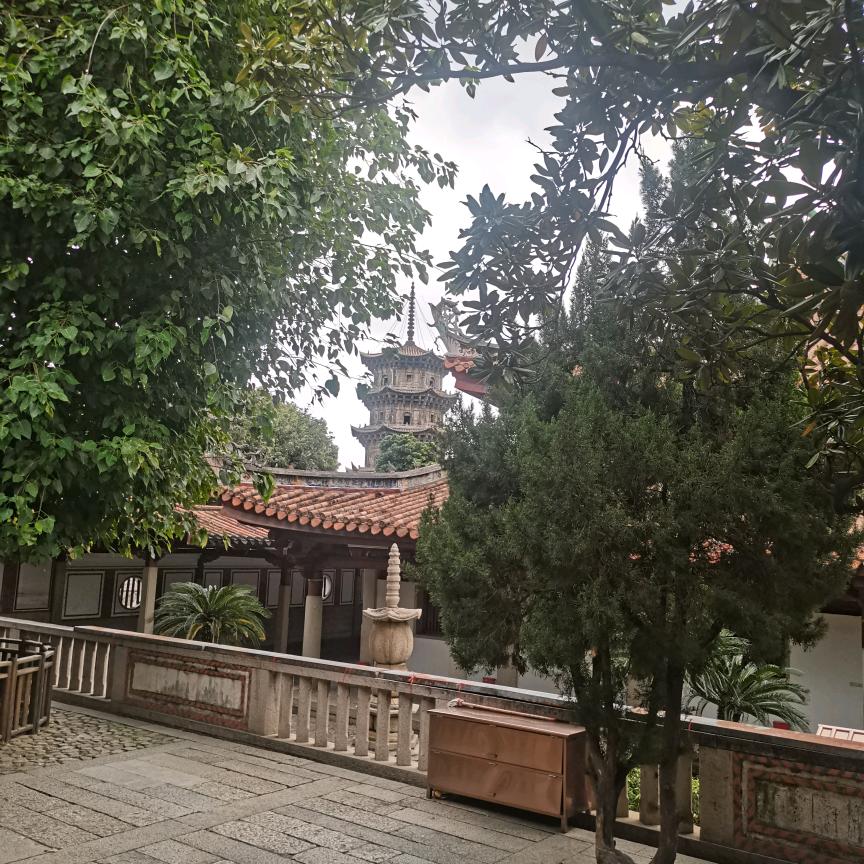 我就要我的滑轮鞋