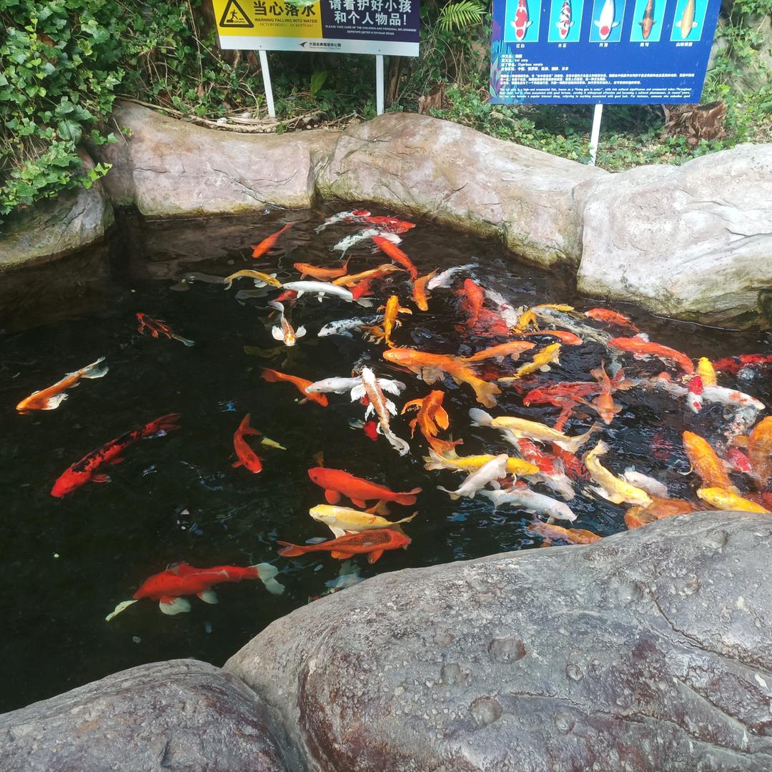 用户7947032481107懒猫咪