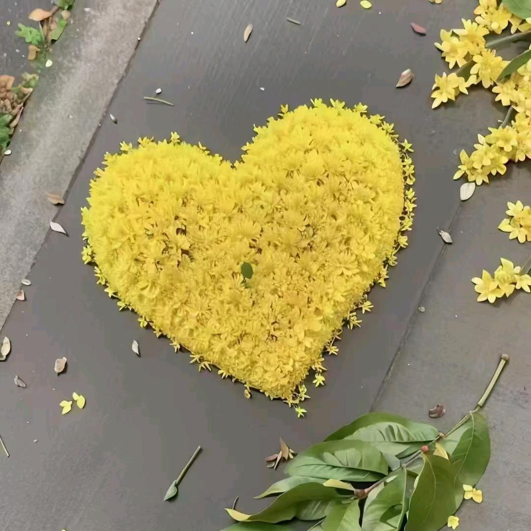 李白不白