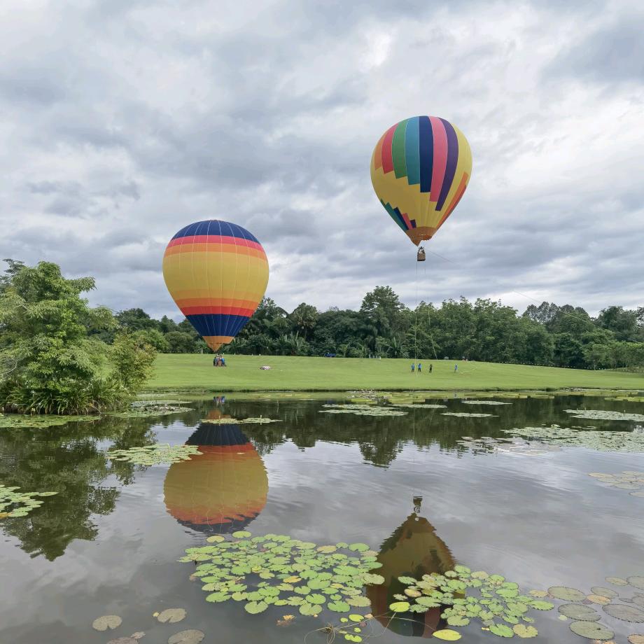一日情深来日方长