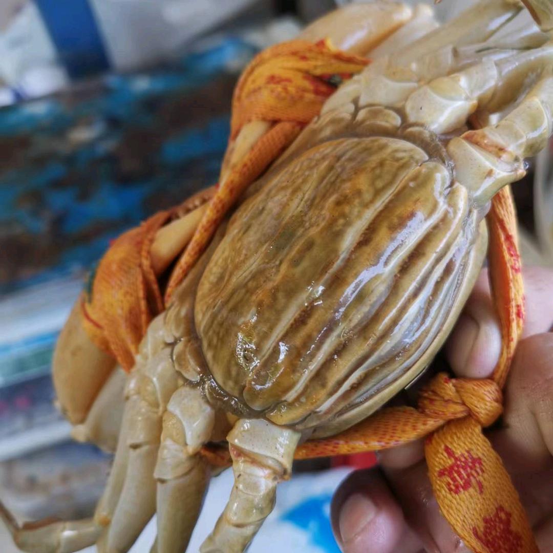 禾东水产品