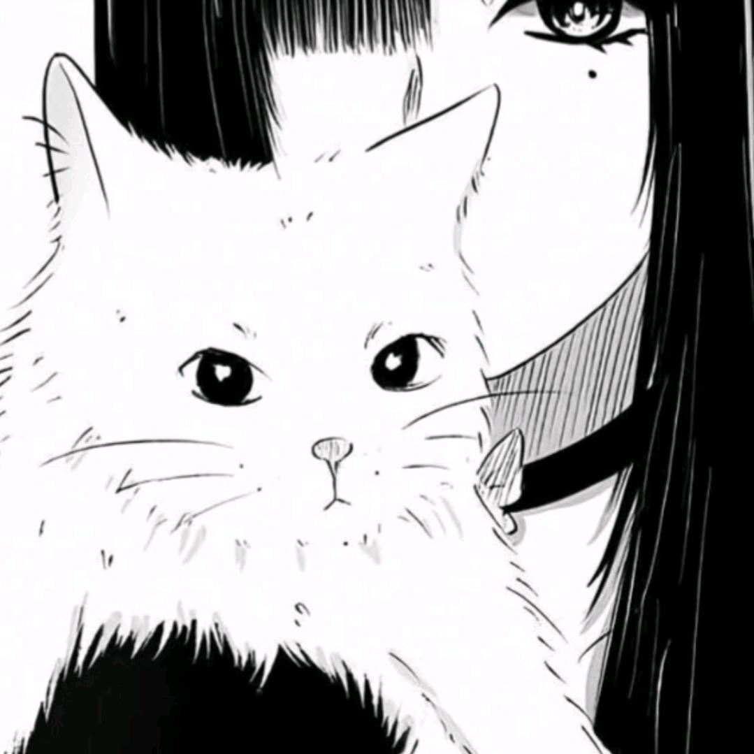 琪总
