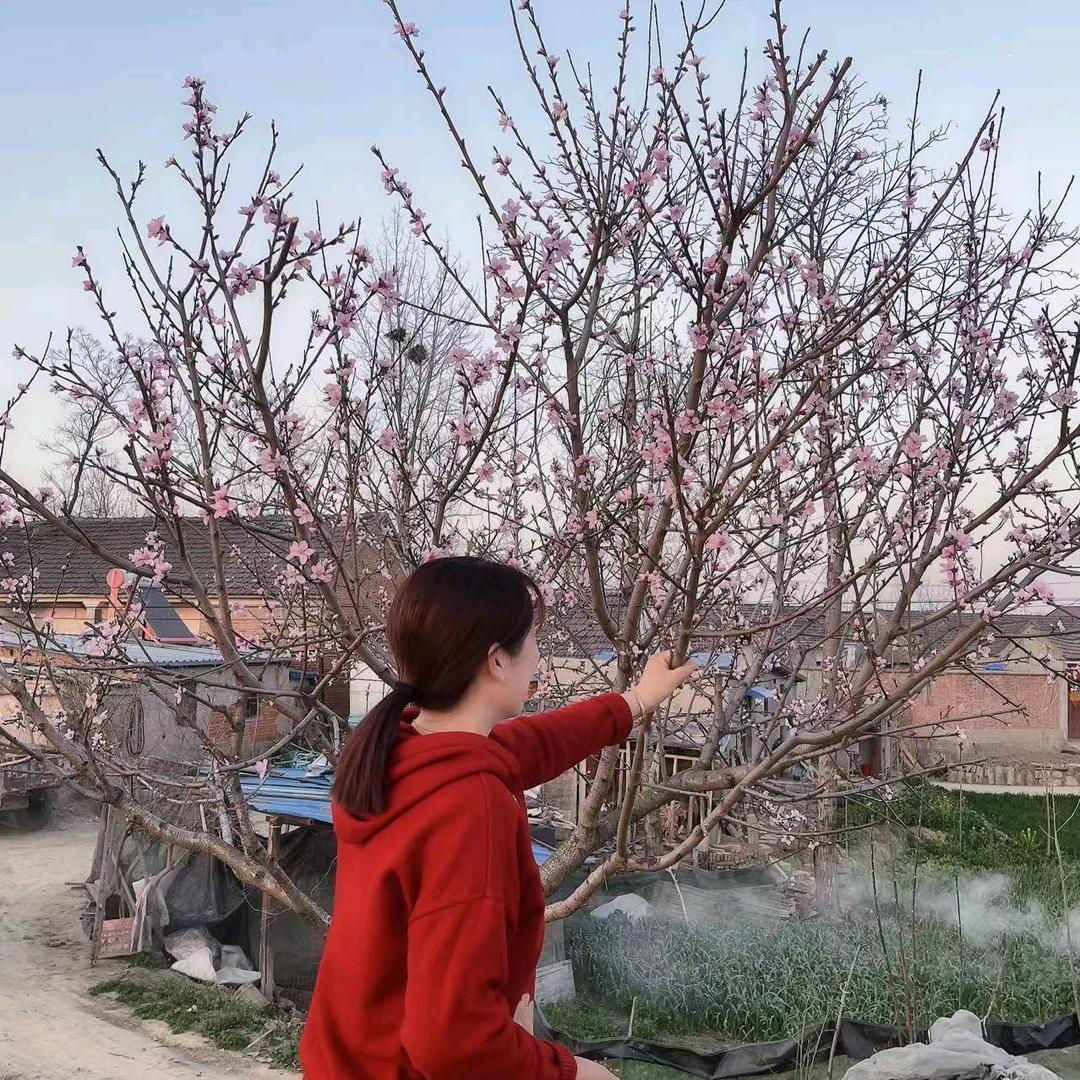 不发脾气只发财