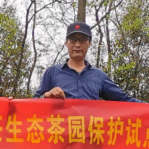 凯文茶记