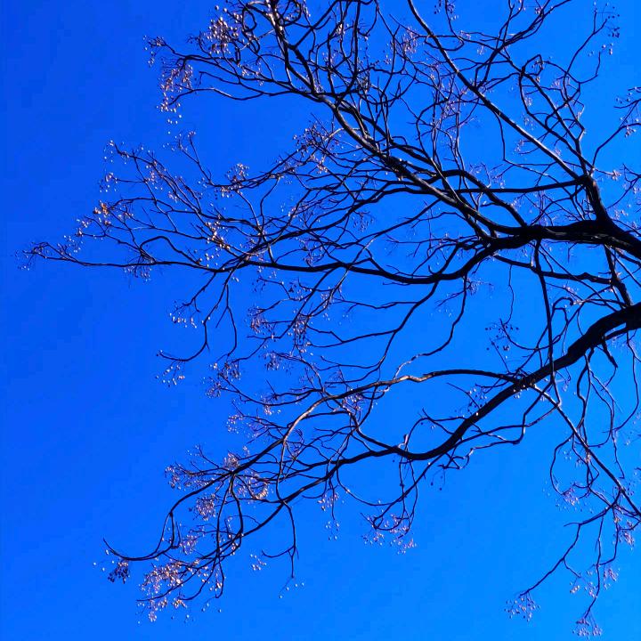 Zdb绘嫁婚礼&萌宝儿童摄影