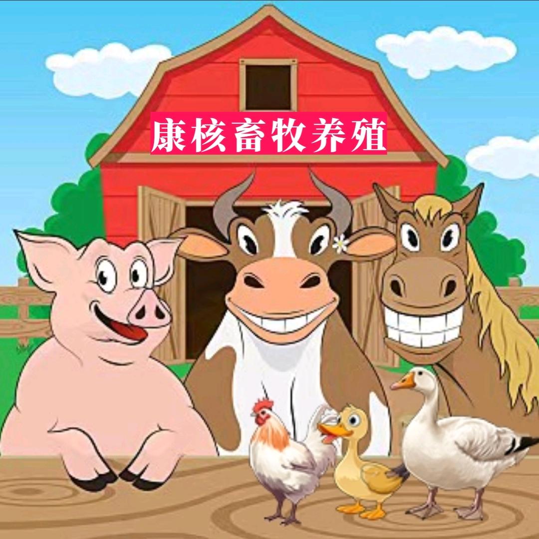 康核畜牧养殖