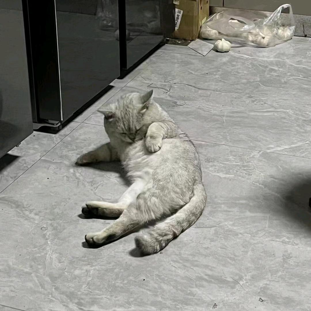 生而清醒