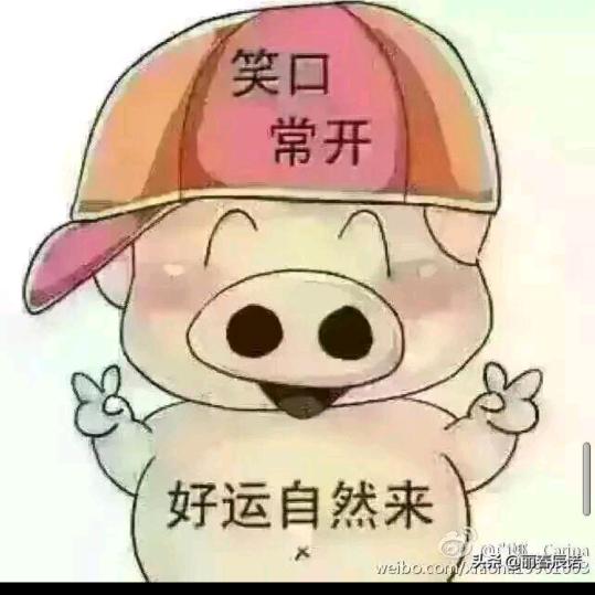 命中注定遇见你