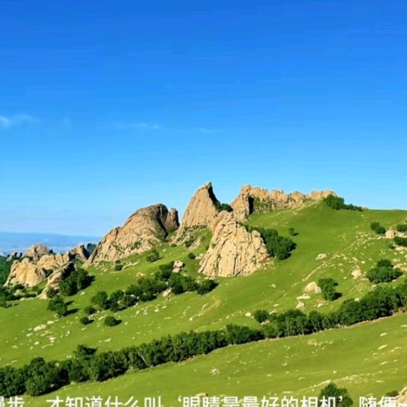 悠悠青山