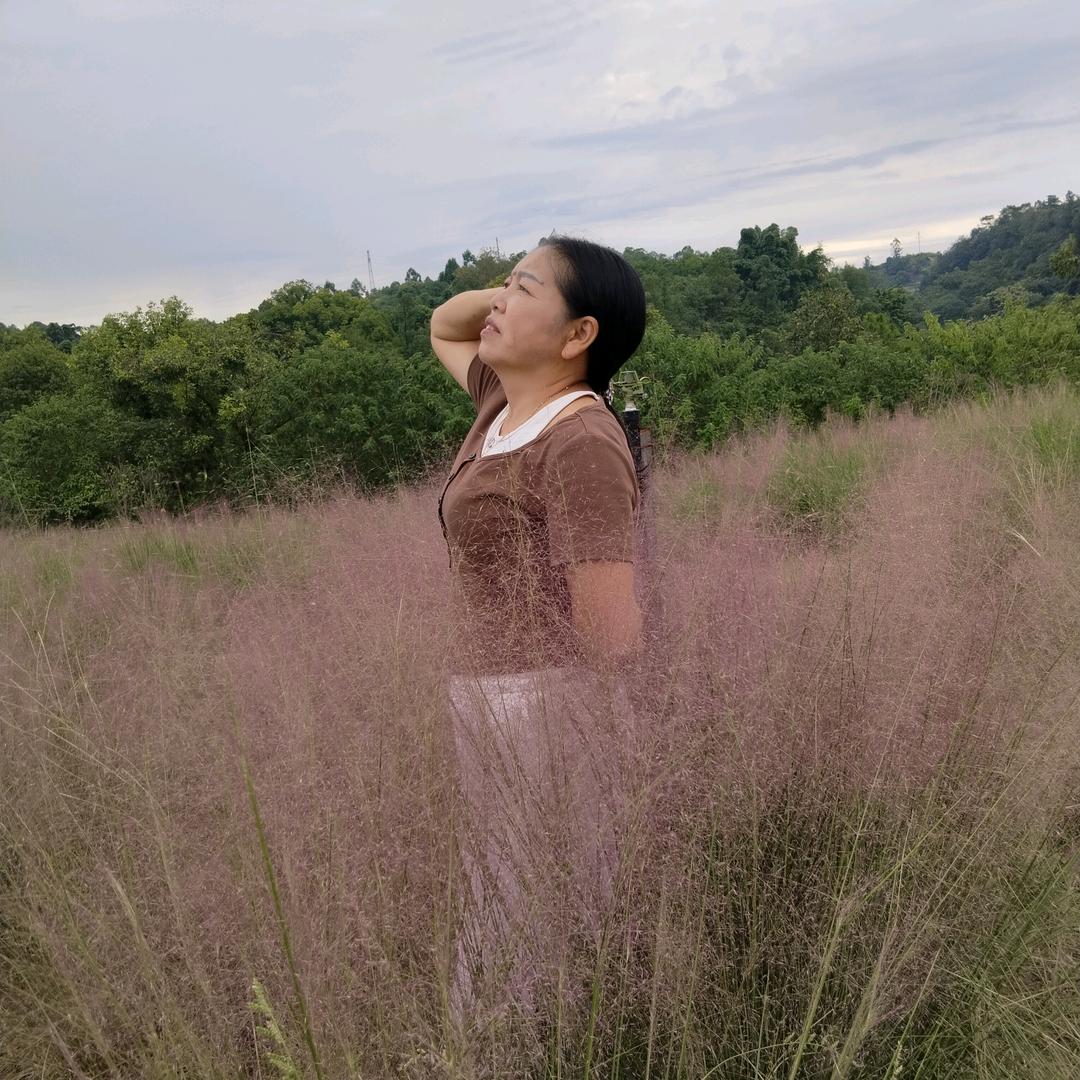 (◍•ᴗ•◍)❤岁月静好