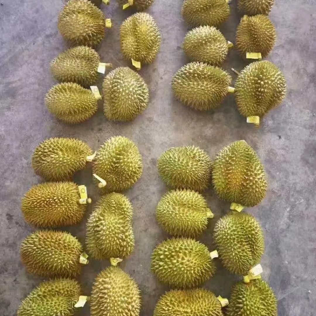 彪哥