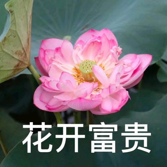 李灿菊(*^ω^*)