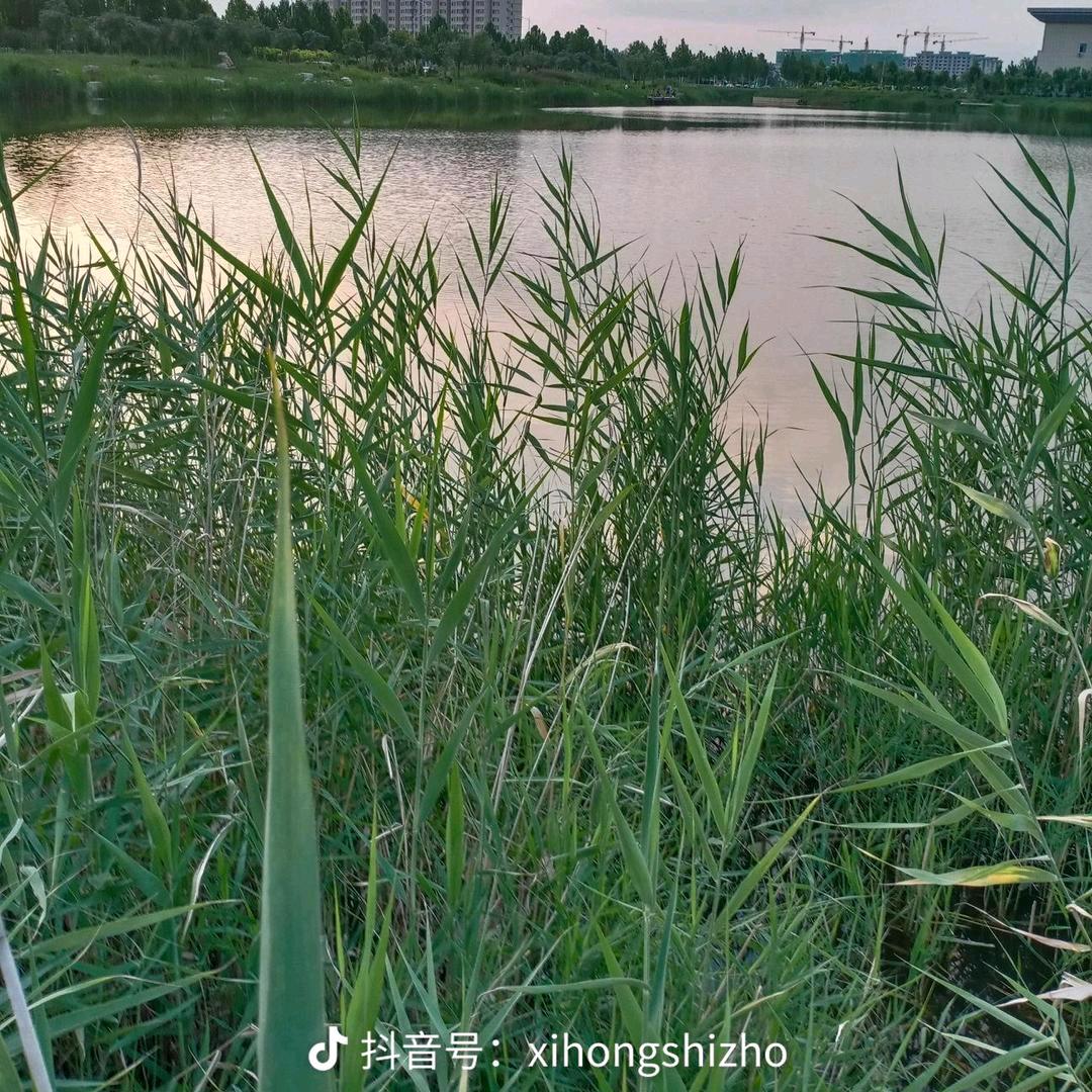 上班哥