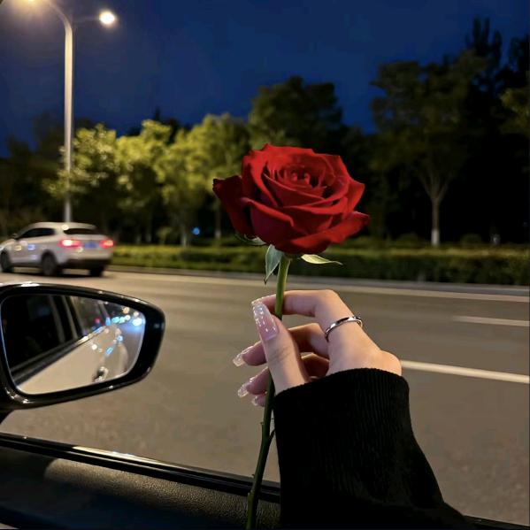 💫往事归零⚜💫