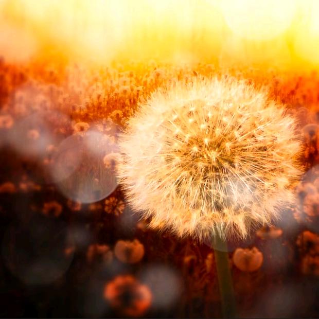 🍂ಢ᭄删除～記憶ල᭄