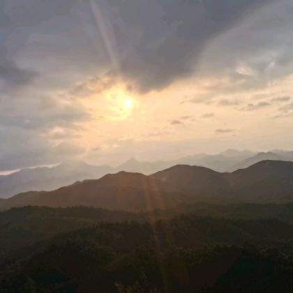 银泰百货：稻来香