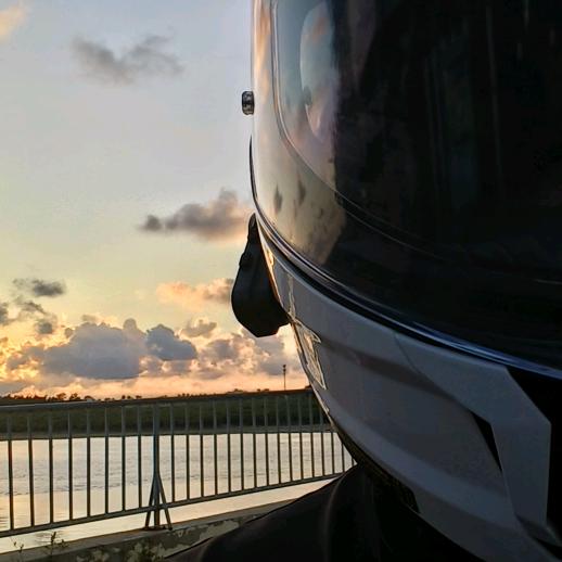 赚钱给二狗买狗粮