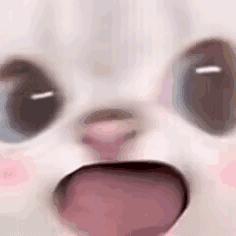 光头碳锅芦岭店