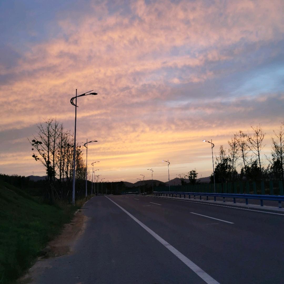 太阳的后裔
