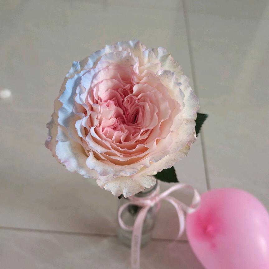 ❤️存感恩，幸福快乐呦