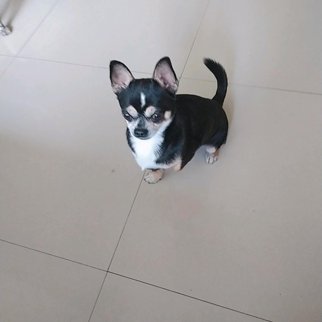 亦心❤️温馨🐱🐶护生家园