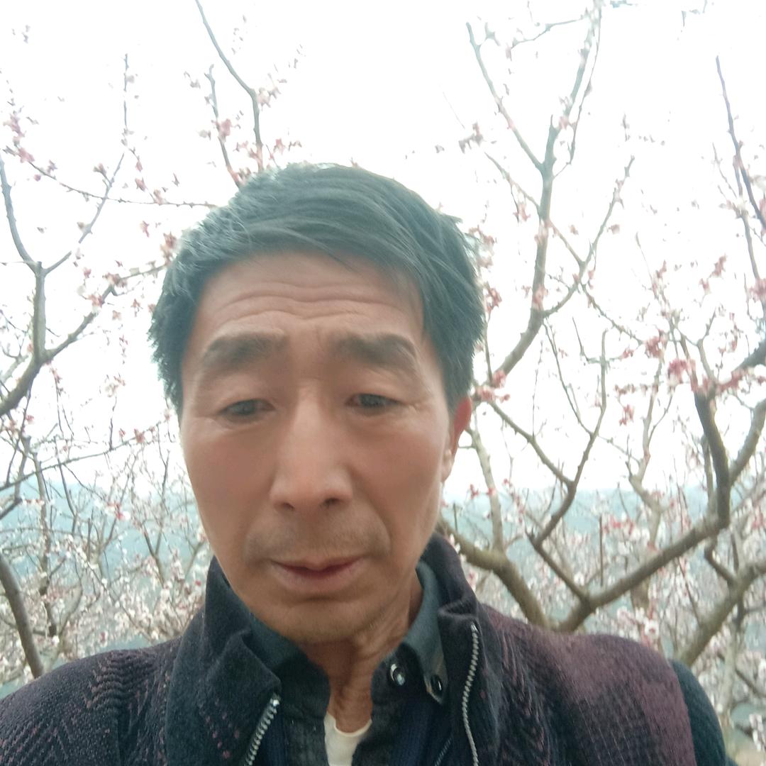 龙场老方桃园