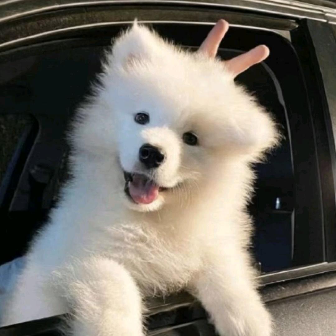 我睡觉的时候不困