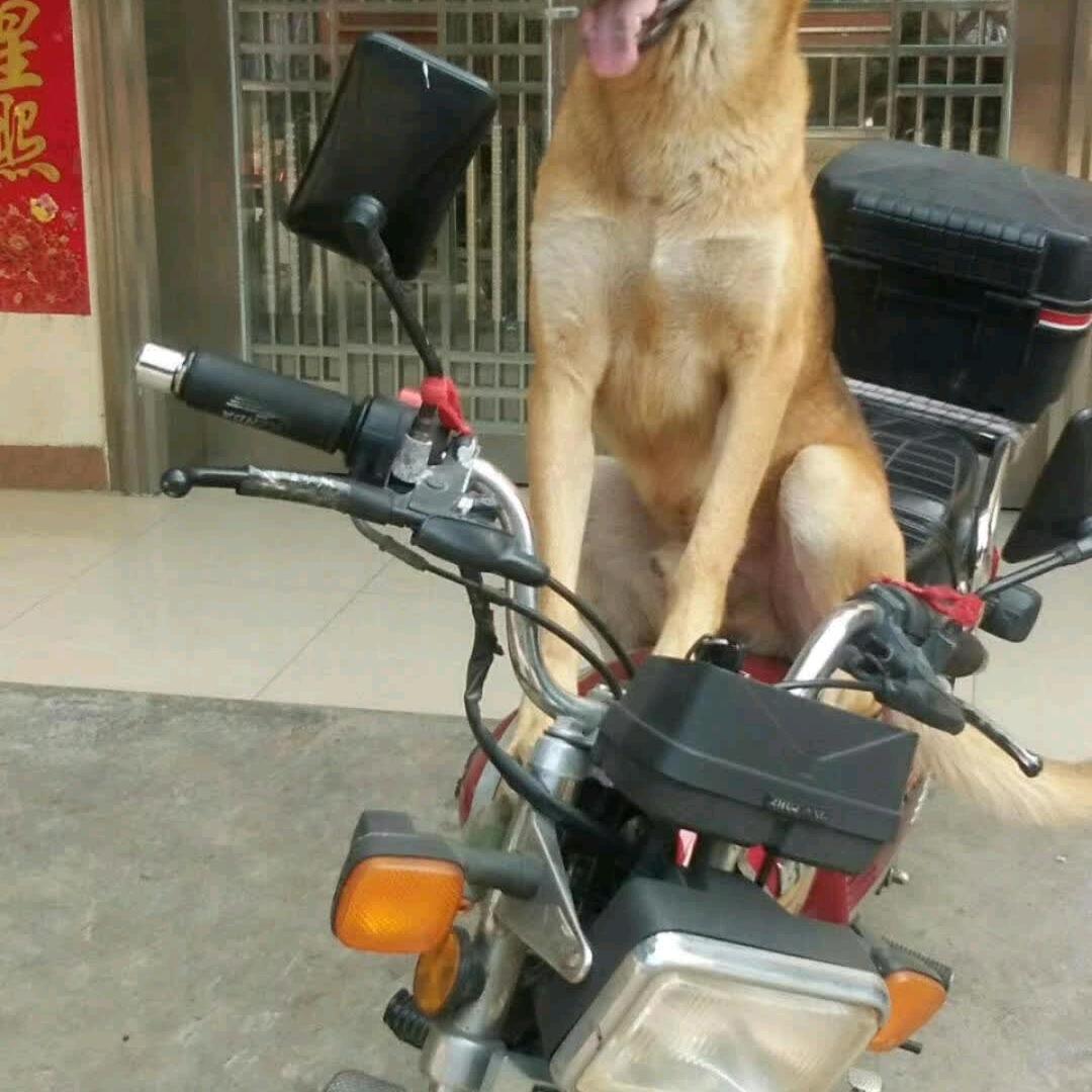 用户2473996129015