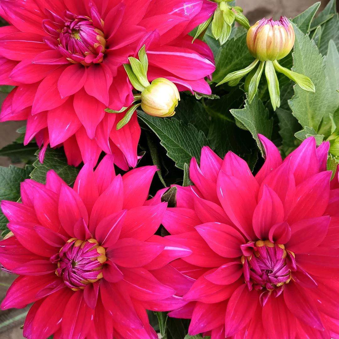 ∴快乐过好每一天