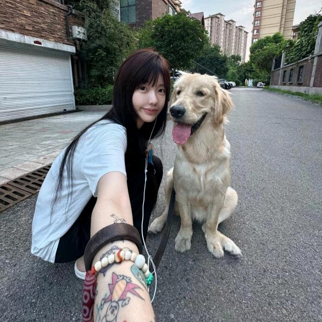 용룡.