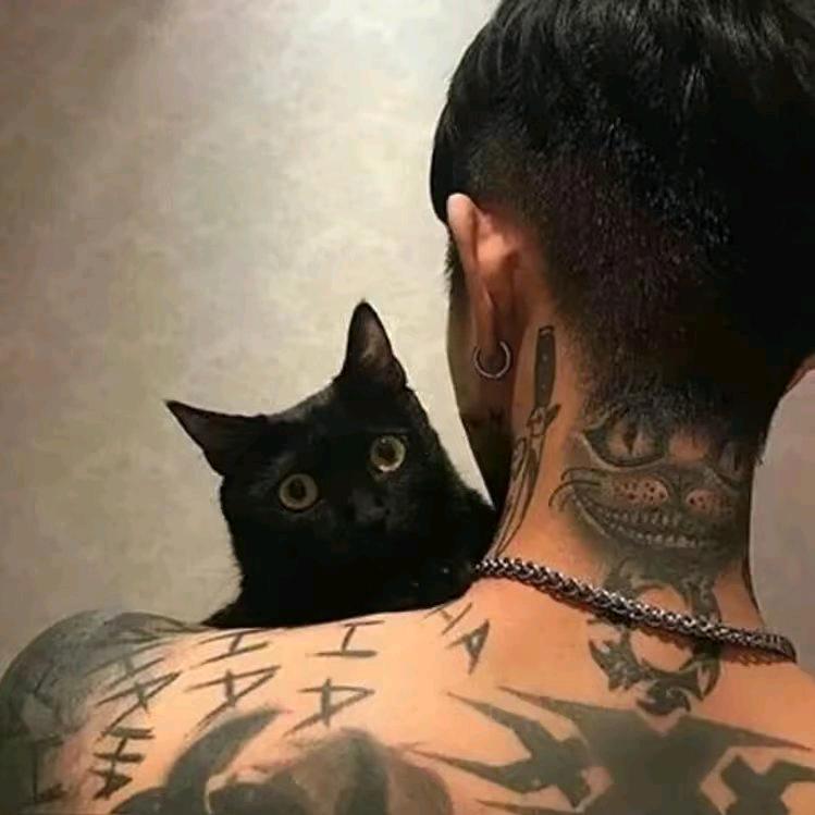 ℳ̶̶♡̶҉唯有拼搏᭄ℳ