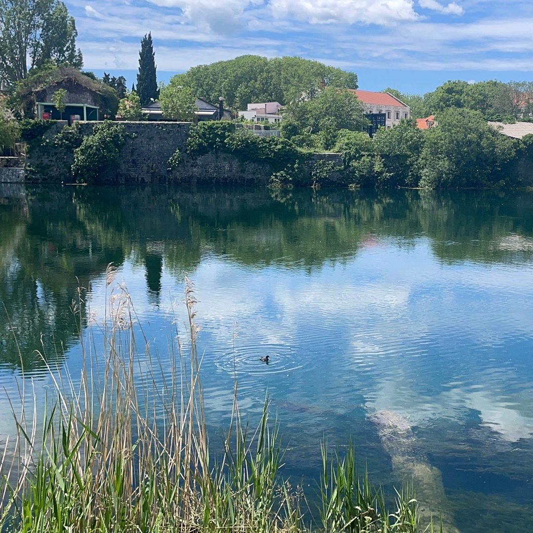 ꧁༺๑相遇是缘๑༻꧂