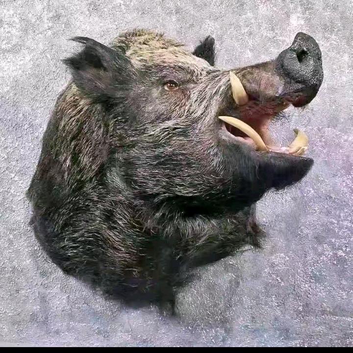 公益护农，