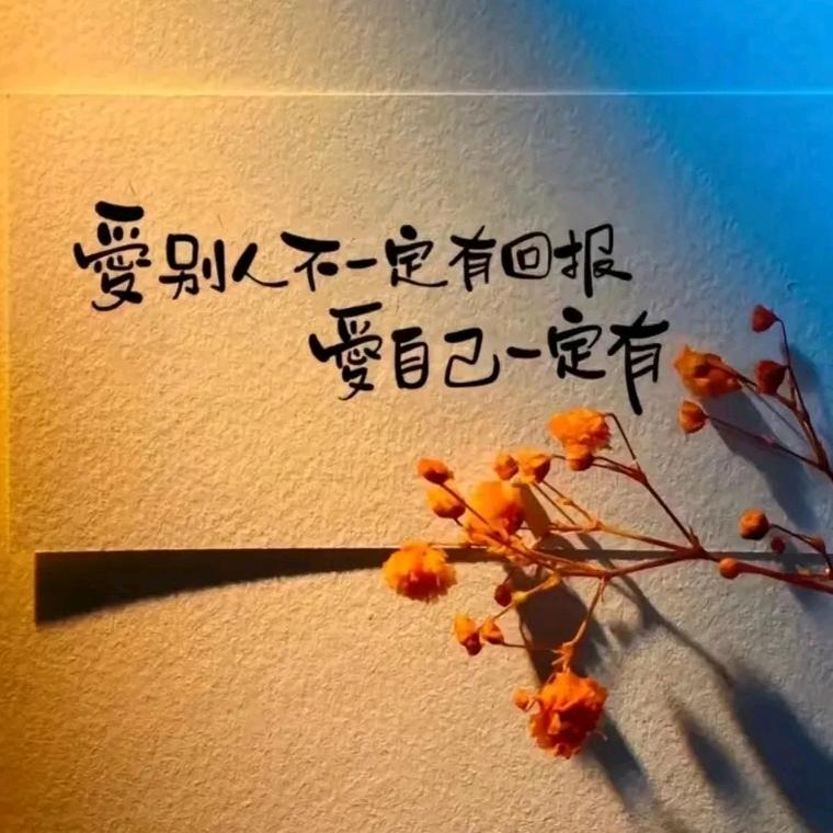 ღ莲ღ子ღ